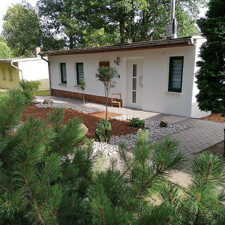 Ferienhaus Regina Neudorf  외부 사진